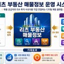 리츠
