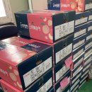 대왕농장 | 조조복숭아 개시합니다!! (농장 직배송 / 딱딱이 / 딱복 / 털복숭아 / 경봉 / 대왕복숭아 / 복숭아 판매)