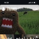 더야르