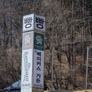 더베이커스가든화도