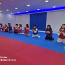 용인대 엘리트 태권도장 이미지