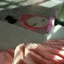(주)유담