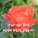 G7정상회담 맛집 캐나다 로키 카나나스키스로 출발~. 이미지