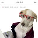 이쁨 네이버블로그