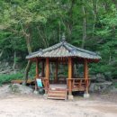 성주사 회귀형 숲길 이미지