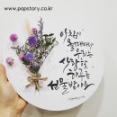피오피스토리주