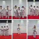 백마태권도 이미지