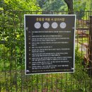 강아지숲 박물관 | [춘천여행] 강아지숲 후기(+가격, 주차)