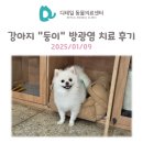 하안동물병원 이미지