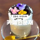 [인천 강화도 카페] 식물 가득한 강화도 이색카페 &#39;카페인 분재&#39;