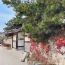 교촌길 | 경주 교촌마을 맛집 교촌삼백년집 비빔밥 해물파전 추천