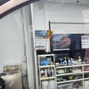 루마버텍스 올카 이미지