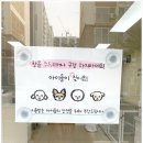 츄펫살롱 이미지