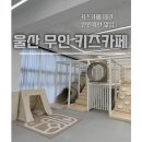 핍핍 이미지