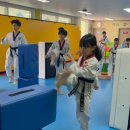 한체대고려태권도 이미지