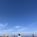 드라이브카 | 구마모토 렌터카 여행 아소 드라이브 일본 운전 난이도 현실 후기