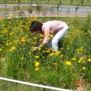 초지중학교 이미지