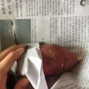 리빙인싸 이미지