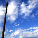 전등사로 초지로 이미지