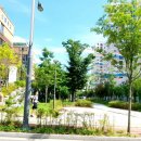 문산중학교 건너편 이미지