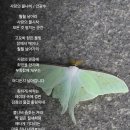불나비 - 밀양시 시청서1길 5 | 불나비