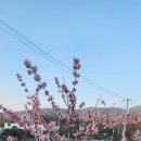 행복이농장 이미지