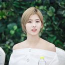 네이처컬렉션 이미지