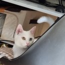 펜션 솔향 이미지