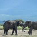 300당구장 이미지