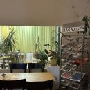 오석 | 대전 중앙로역 근처 분위기 좋은 파스타 맛집 토스트 후기