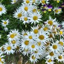 비발디조현욱공인중개사사무소 이미지