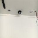 뽀삐살롱 이미지