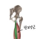 에이블짐 마곡나루점 이미지
