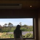 풀베개 in 제주_ 천미천 / 블루보틀 / 안친오름 / <b>풀</b><b>베개</b>