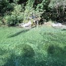 자우림캠핑장 이미지