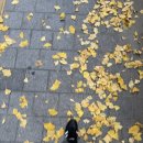 주신빌딩 | 프로포즈 | 63빌딩 터치더스카이 touch the sky 파인다이닝 프라이빗 룸 프로포즈 받은 후기