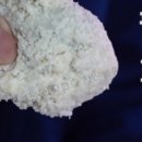 미스터떡집 이미지