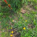 [용한점집] 신병 증상과 신내림, 10년 고시생에서 무속인이 되기까지 (ft. 나의 실제 경험담) 이미지