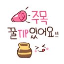 더 포라 수영장 이미지