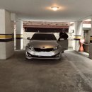 롯데리아분평점 | 롯데리아 드라이브스루 데리버거후기