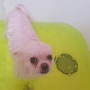 러블리멍 이미지