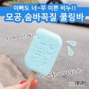 민트파파