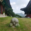 노원자동차마을(하이카상계점) 이미지