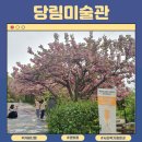 카페디엘(CAFEDL) | 아산여행 당림미술관 겹벚꽃 사진찍기 좋은 곳, 아이랑 놀러가기 좋은 곳 (ft. 카페디엘, 바닥화체험)