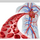 순환한의원 이미지