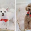 어서왈왈 이미지