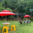 무릉도원면-7 이미지