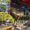 파주축산한우마을 이미지