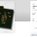 앰플디자인