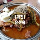 유천옥 | [과천] 역사가 오래된 감자탕 맛집 - 유천옥 (내돈내산, 위치, 영업시간, 메뉴와 가격, 지역화폐)